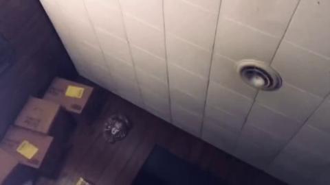 Blowjob frenzy: Mom devours young cock🌭, vocalizing ecstasy on cum release